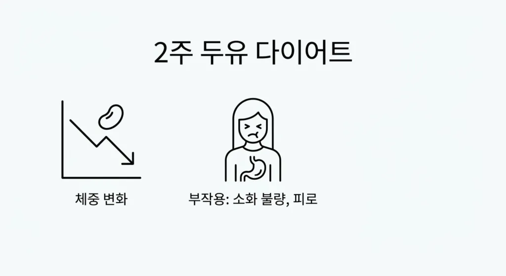 2주 동안 두유만 먹었을 때 변화