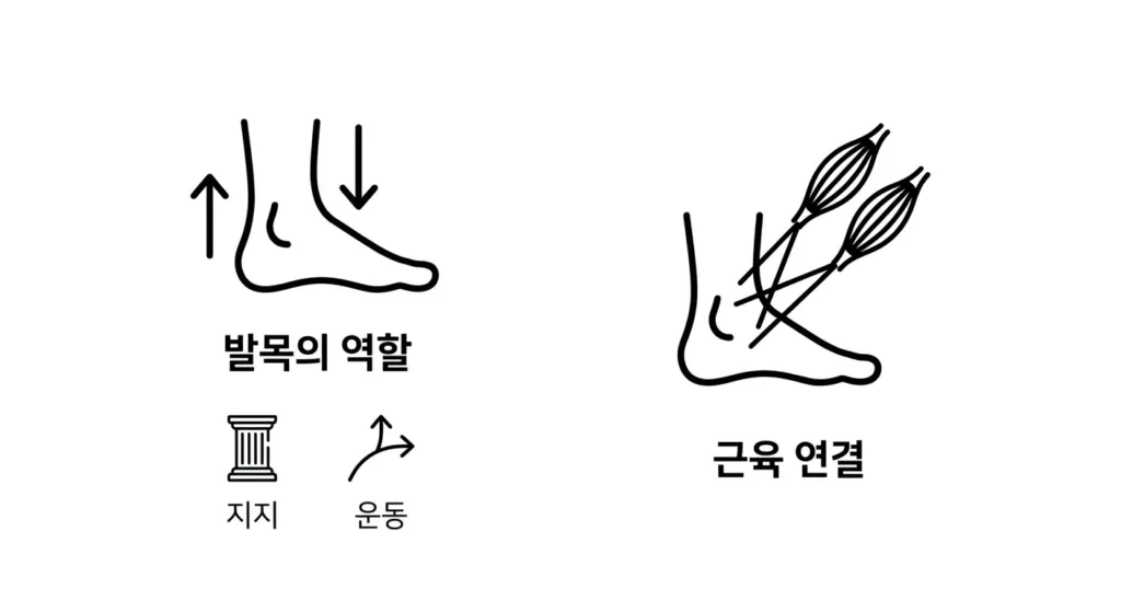 1차 방어선: 브레이크 요정, '발목'의 미세한 조종