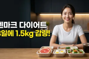 덴마크 다이어트 식단 배달 완벽 가이드 | 3일~14일 프로그램 비교 및 실제 후기