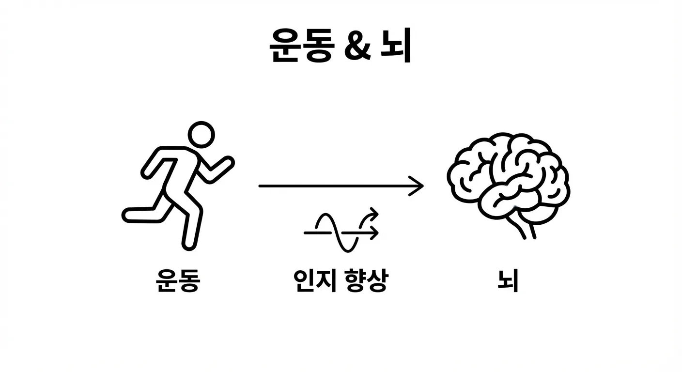운동과 뇌의 정보 처리 관계를 설명하는 이미지