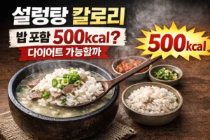 설렁탕 칼로리 완벽 분석 | 밥 포함 500kcal? 다이어트 가능할까