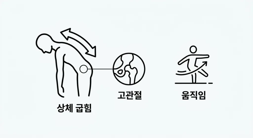 상체가 굽어지는 이유: 1차 방어선의 붕괴와 '고관절'의 등장