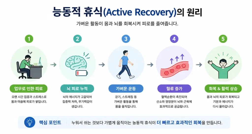 능동적 휴식이 만성 피로를 이기는 과학적 이유