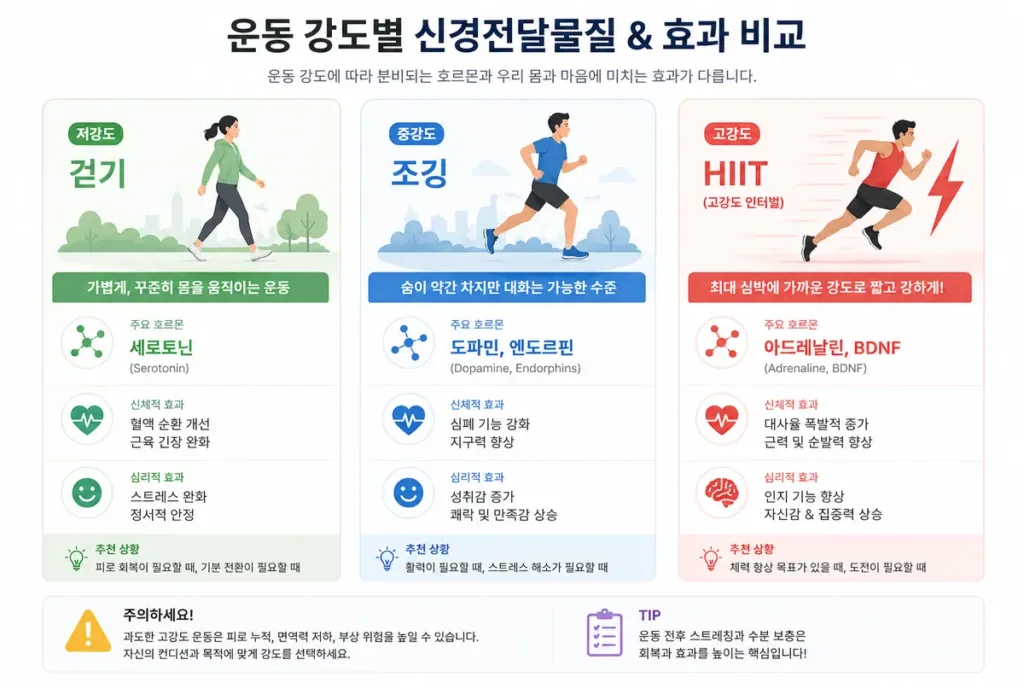 운동 강도별 신경전달물질 반응 