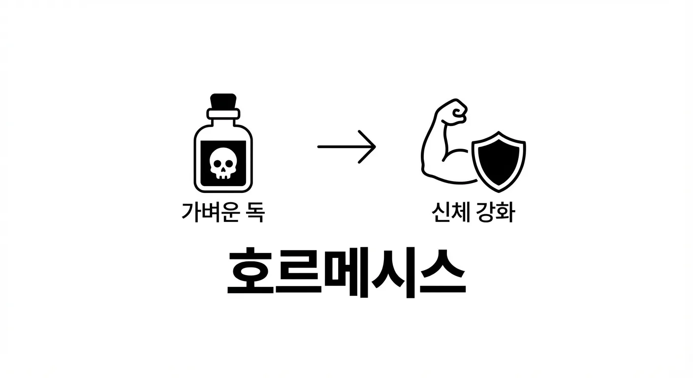 호르메시스 개념과 신체 강화 원리를 설명하는 이미지